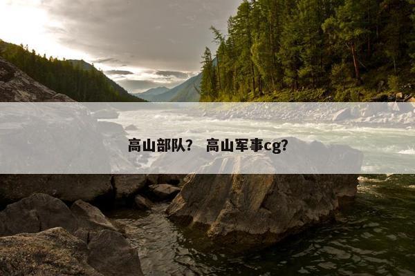 高山部队？ 高山军事cg？