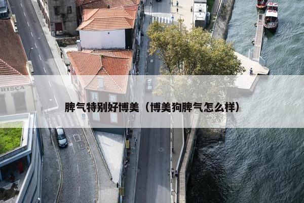 脾气特别好博美（博美狗脾气怎么样）