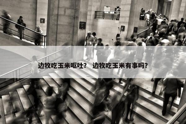 边牧吃玉米呕吐？ 边牧吃玉米有事吗？