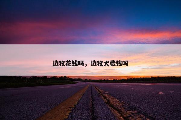 边牧花钱吗，边牧犬费钱吗