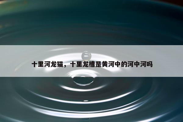 十里河龙猫，十里龙槽是黄河中的河中河吗