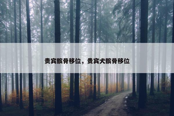 贵宾髌骨移位，贵宾犬髌骨移位