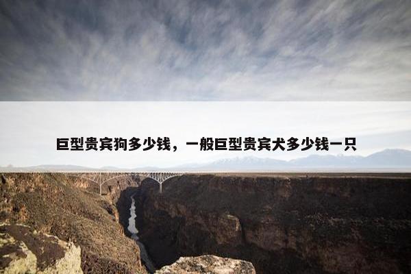 巨型贵宾狗多少钱，一般巨型贵宾犬多少钱一只