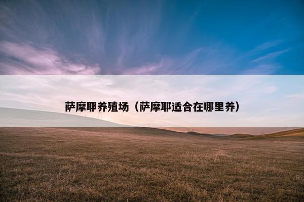 萨摩耶养殖场（萨摩耶适合在哪里养）