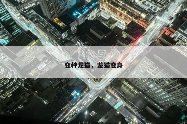 变种龙猫，龙猫变身