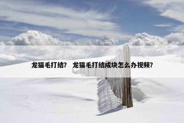 龙猫毛打结？ 龙猫毛打结成块怎么办视频？