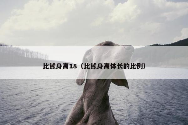 比熊身高18（比熊身高体长的比例）
