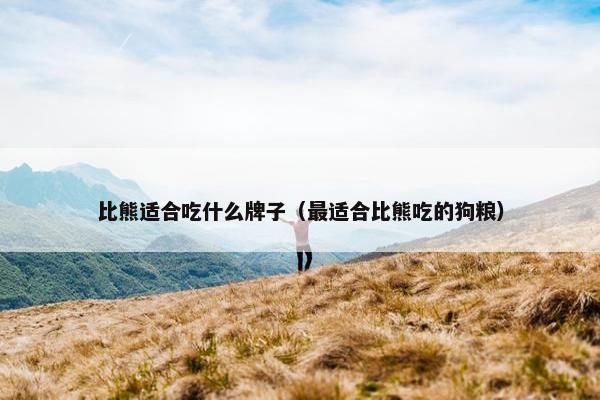 比熊适合吃什么牌子（最适合比熊吃的狗粮）