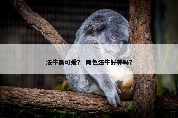 法牛黑可爱？ 黑色法牛好养吗？