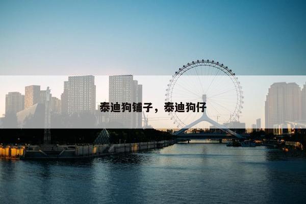 泰迪狗铺子，泰迪狗仔