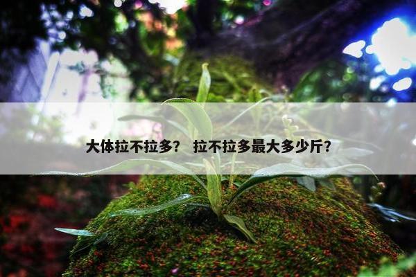 大体拉不拉多？ 拉不拉多最大多少斤？