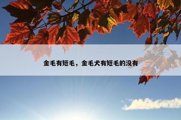 金毛有短毛，金毛犬有短毛的没有