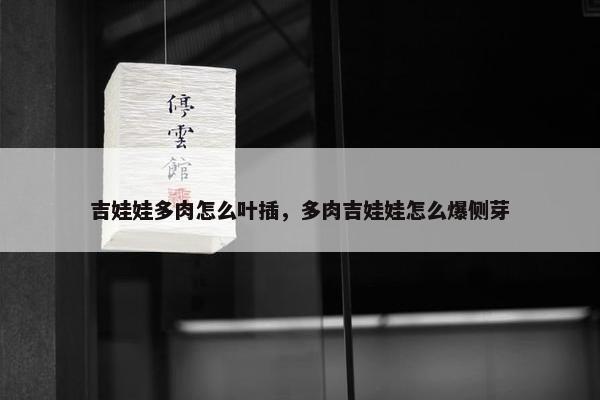 吉娃娃多肉怎么叶插，多肉吉娃娃怎么爆侧芽
