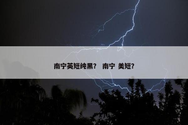 南宁英短纯黑？ 南宁 美短？
