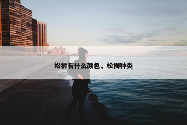 松狮有什么颜色，松狮种类