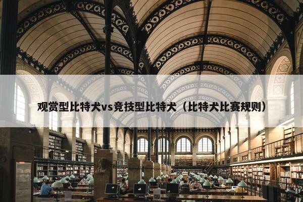 观赏型比特犬vs竞技型比特犬（比特犬比赛规则）