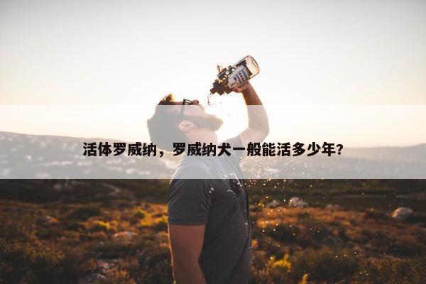 活体罗威纳，罗威纳犬一般能活多少年?