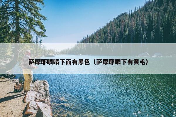 萨摩耶眼睛下面有黑色（萨摩耶眼下有黄毛）