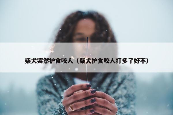 柴犬突然护食咬人（柴犬护食咬人打多了好不）