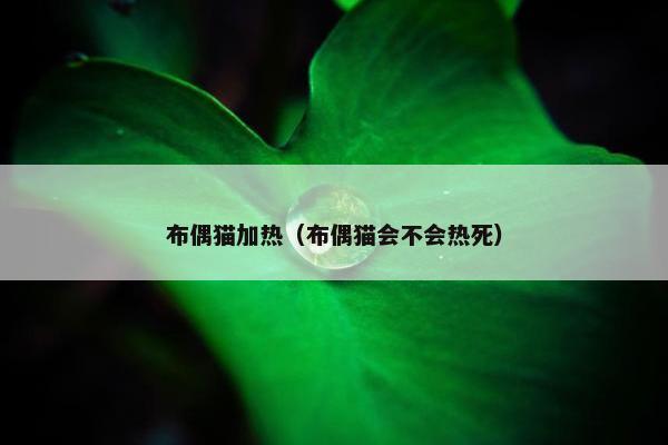 布偶猫加热（布偶猫会不会热死）