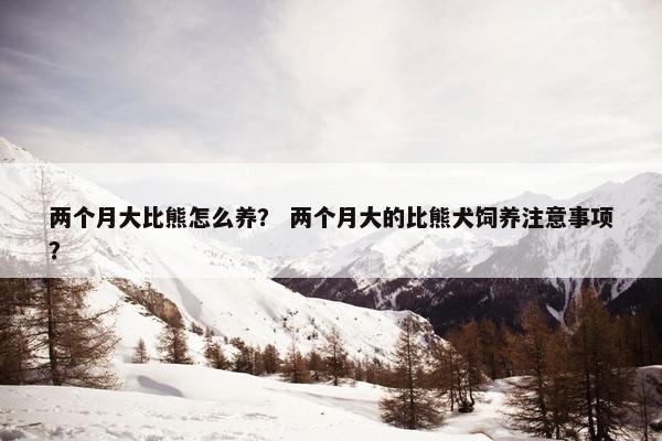 两个月大比熊怎么养？ 两个月大的比熊犬饲养注意事项？