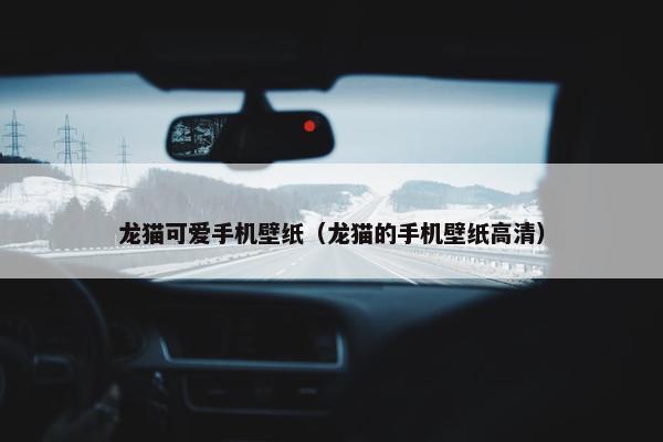 龙猫可爱手机壁纸（龙猫的手机壁纸高清）