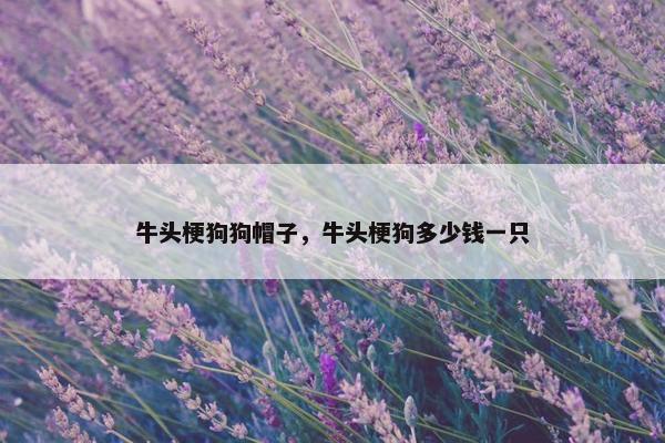 牛头梗狗狗帽子，牛头梗狗多少钱一只