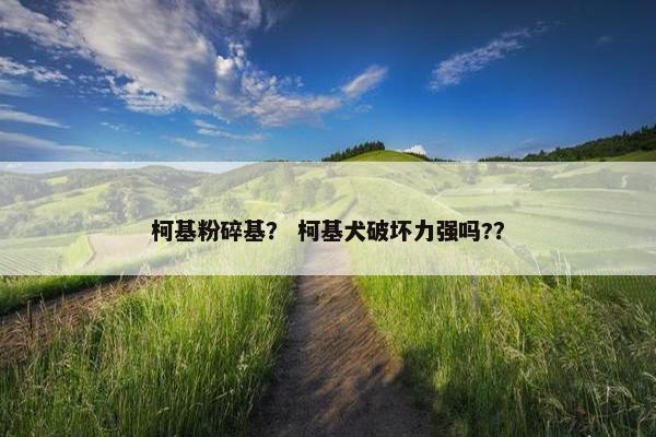 柯基粉碎基？ 柯基犬破坏力强吗?？