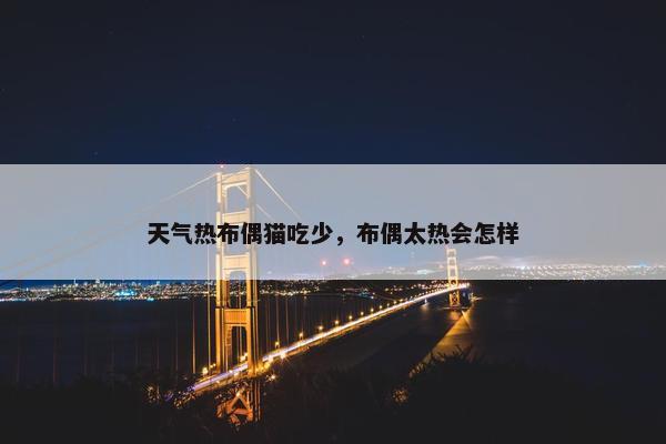 天气热布偶猫吃少，布偶太热会怎样