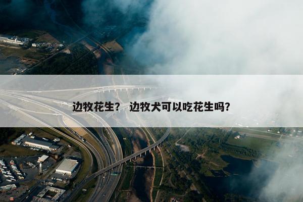 边牧花生？ 边牧犬可以吃花生吗？