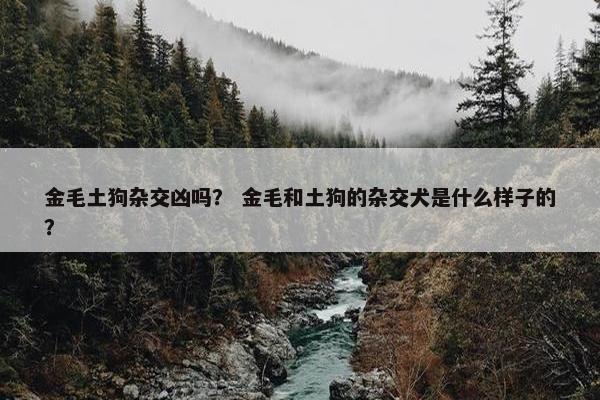 金毛土狗杂交凶吗？ 金毛和土狗的杂交犬是什么样子的？