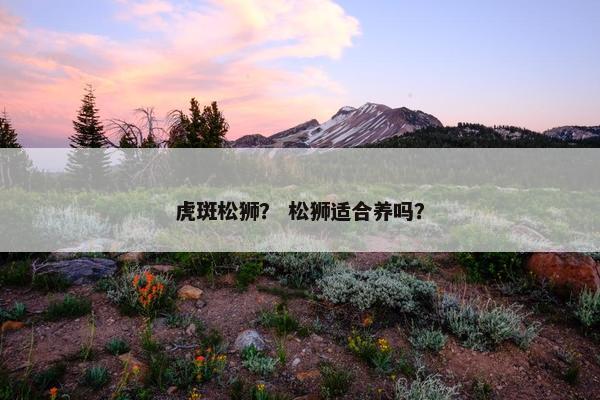 虎斑松狮？ 松狮适合养吗？
