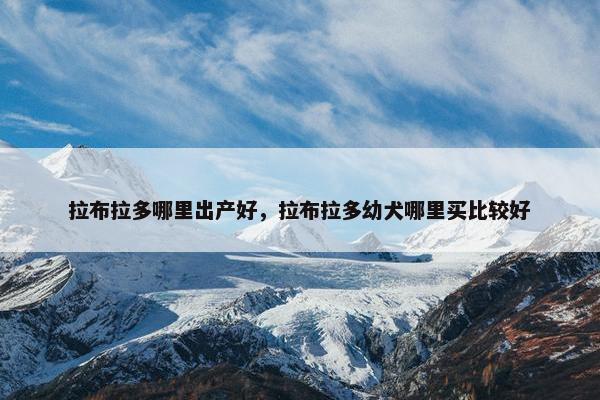 拉布拉多哪里出产好，拉布拉多幼犬哪里买比较好