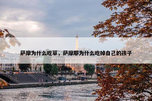 萨摩为什么吃草，萨摩耶为什么吃掉自己的孩子