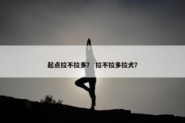 起点拉不拉多？ 拉不拉多拉犬？