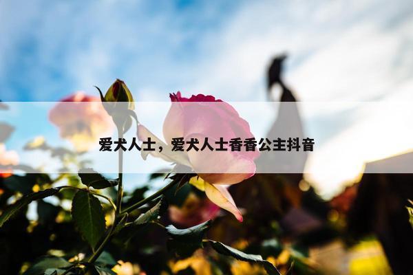 爱犬人士，爱犬人士香香公主抖音