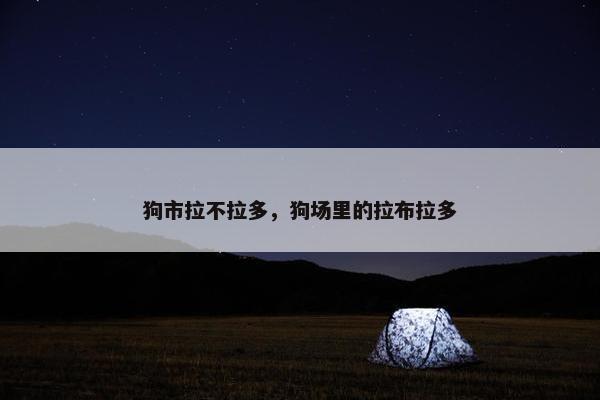 狗市拉不拉多，狗场里的拉布拉多