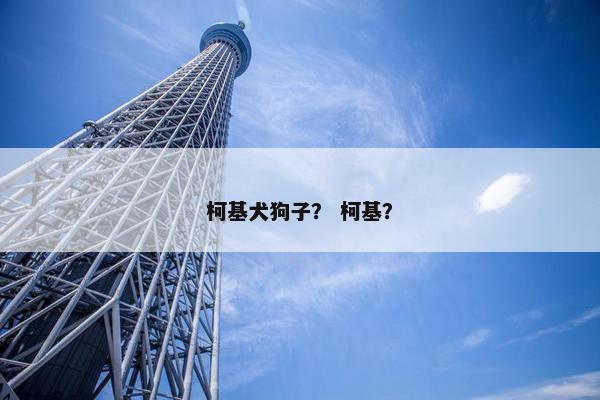 柯基犬狗子？ 柯基？