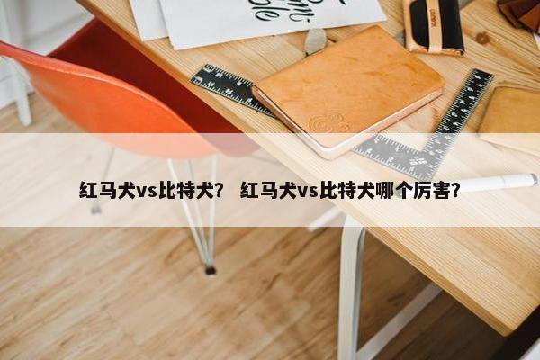 红马犬vs比特犬？ 红马犬vs比特犬哪个厉害？