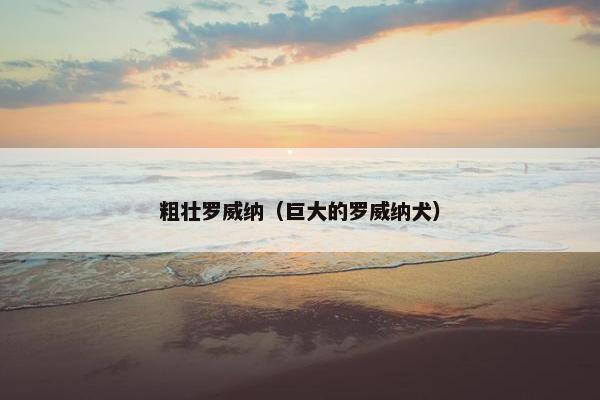 粗壮罗威纳（巨大的罗威纳犬）