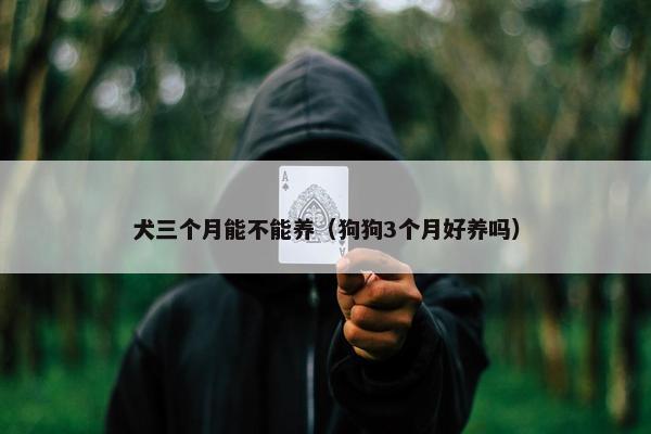 犬三个月能不能养（狗狗3个月好养吗）