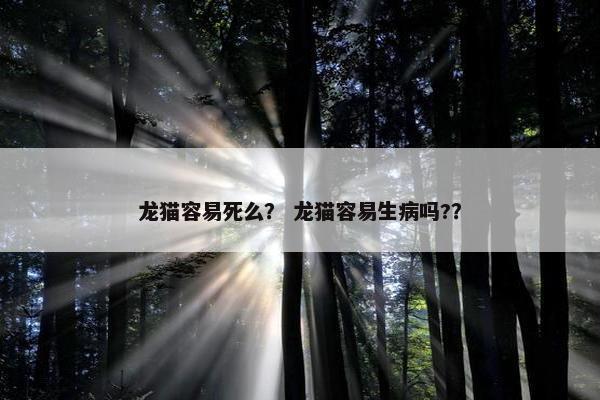 龙猫容易死么？ 龙猫容易生病吗?？