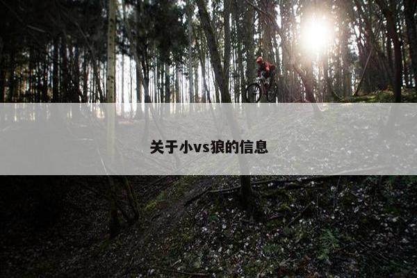 关于小vs狼的信息