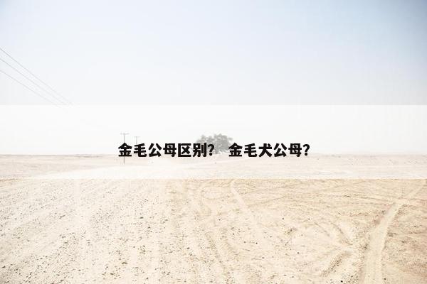 金毛公母区别？ 金毛犬公母？
