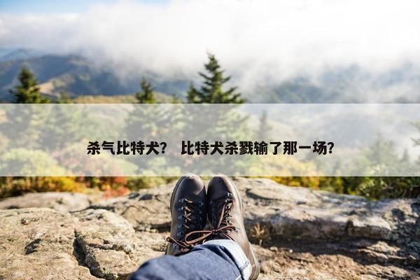 杀气比特犬？ 比特犬杀戮输了那一场？