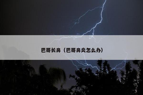 巴哥长鼻（巴哥鼻炎怎么办）