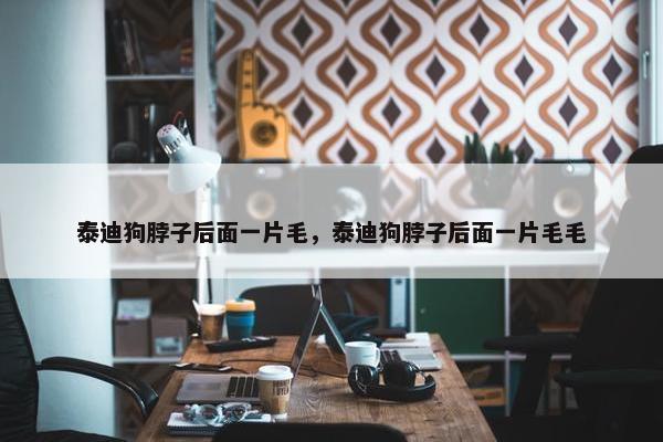 泰迪狗脖子后面一片毛，泰迪狗脖子后面一片毛毛