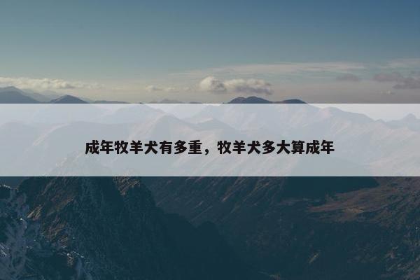 成年牧羊犬有多重，牧羊犬多大算成年