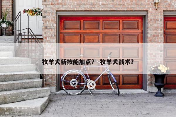 牧羊犬新技能加点？ 牧羊犬战术？
