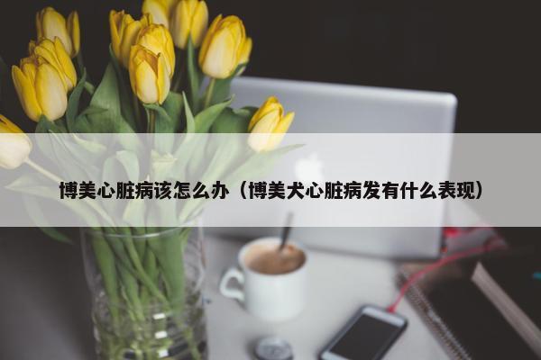 博美心脏病该怎么办（博美犬心脏病发有什么表现）